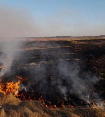 У двох селах на Рівненщині гасили загоряння сміття