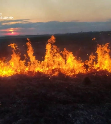 На Львівщині за добу рятувальники ліквідували 15 пожеж сухої трави