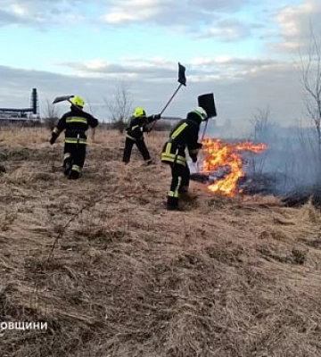 Майже сотня пожеж в екосистемах Дніпропетровщини за добу: на 10 порушників склали адмінпротоколи