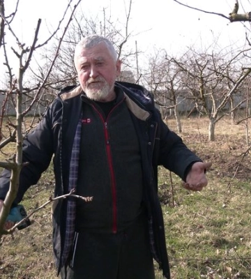 Екзотичний сад готує до доброго врожаю садівник з Рівненщини (ВІДЕО)