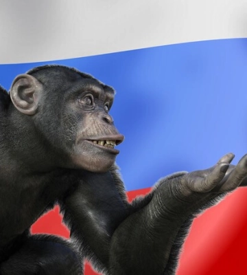 Історія Росії як наочне підтвердження актуальності теорії соціального дарвінізму Історія Росії як наочне підтвердження актуальності теорії соціального дарвінізму