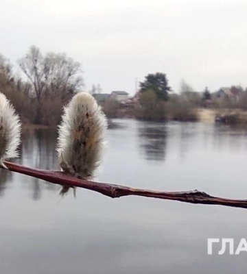 Місцями дощ і сильний вітер: прогноз погоди на 11 березня
