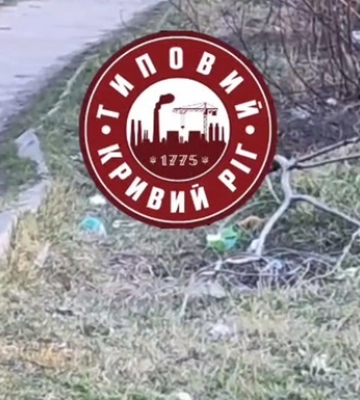 У Кривому Розі біля школи знайшли гранату