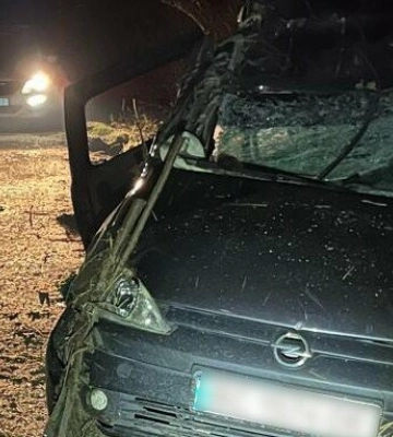 На Львівщині нетверезий водій вчинив ДТП: постраждали три неповнолітні