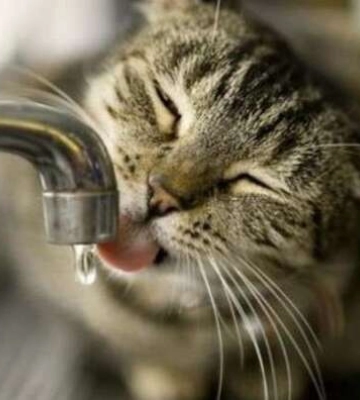 Дві вулиці у Рівному - без води