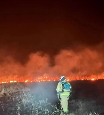 На Прикарпатті за добу загасили 35 пожеж в екосистемі: вигоріло 3,2 гектарів землі