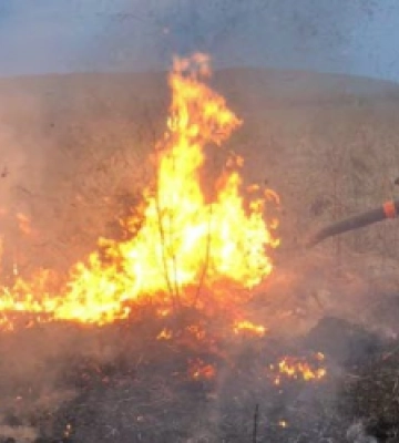 За добу на Львівщині ліквідували 32 пожежі сухої трави