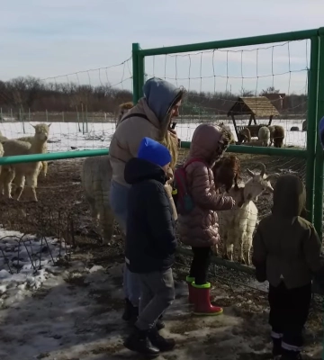 У Долині альпака харківського екопарку обіцяють безкоштовні обіди у вихідні