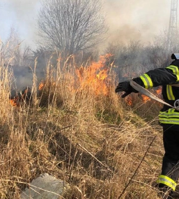 На Надвірнянщині виявили палія трави