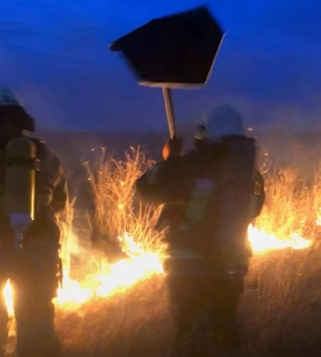 Чотирьох паліїв трави притягнули до відповідальності на Прикарпатті