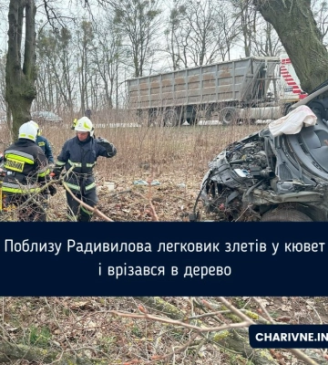 Поблизу Радивилова легковик злетів у кювет і врізався в дерево