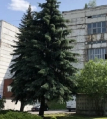 Ціну на радіозавод у Рівному зменшили вдвічі