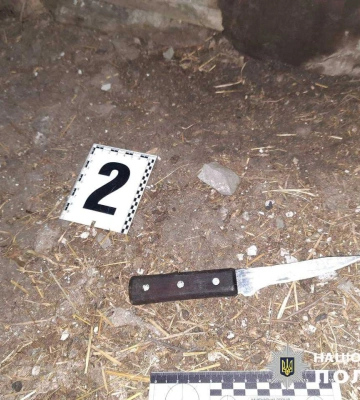 На Харківщині п’яний чоловік ледь не вбив брата на 8 Березня – поліція