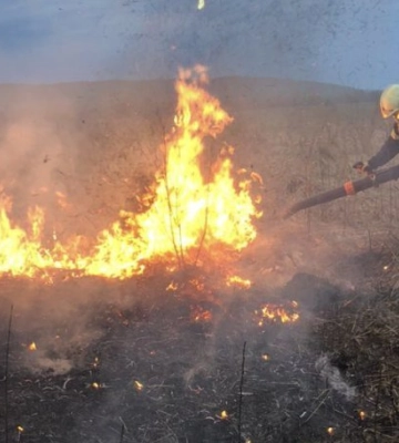 За добу на Львівщині вогнеборці ліквідували 32 пожежі сухої трави