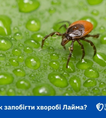Хвороба Лайма на Рівненщині: скільки випадків зафіксували з початку 2024 року та що робити після укусу кліща