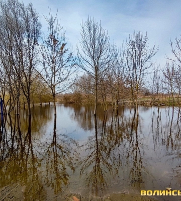 На Волині прогнозують пориви вітру до 20 метрів за секунду
