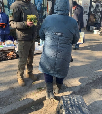 П&#039;ятірка найдорожчих автівок у Луцьку на продаж 