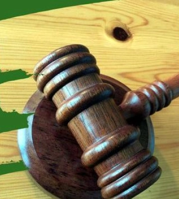 Миколаївський провайдер заплатив штраф за порушення природоохоронного законодавства