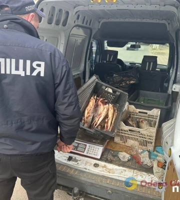 На Одещині зупинили автомобіль з червонокнижною рибою