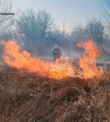 Спалювання сухостою чи сміття може вважатися, як диверсія: у Дніпрі карають порушників