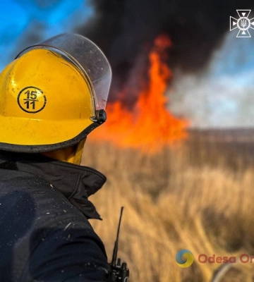 На Одещині з початку місяця вигорів 61 гектар землі