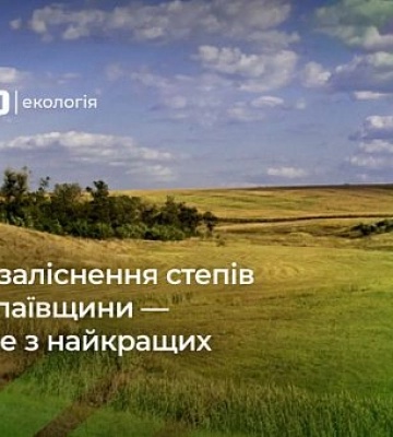 Борьба за степи Николаевщины: конфликт интересов в рамках программы «Зеленая страна»