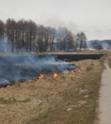 Олександрівська пожежно-рятувальна служба розшукує свідків підпалу трави