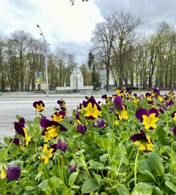 Не харків’янин – Терехов про противників витрат на квіти й прибирання у війну