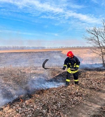 Упродовж доби в області гасили 11 пожеж трави та сміття
