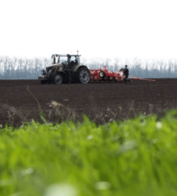 На Житомирщині розпочався посів ранніх зернових та зернобобових культур