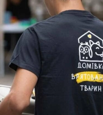У Львові безкоштовно стерилізуватимуть котів і собак. Коли і де