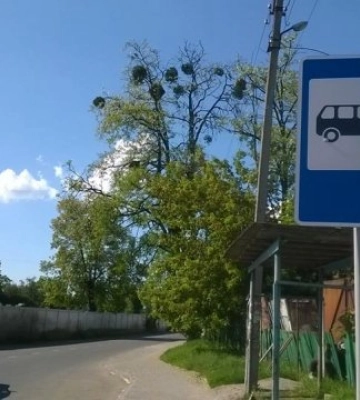 За час повномасштабної війни 68 релігійних громад Волині перейшли з УПЦ до ПЦУ