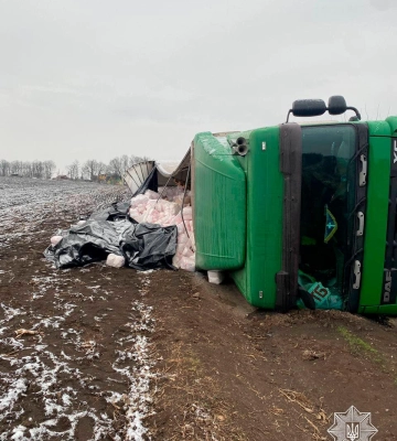 На Уманщині вантажівка з’їхала в кювет та перекинулась