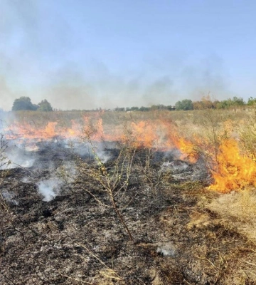 На Рівненщині на паліїв сухої трави складено 4 адмінпротоколи