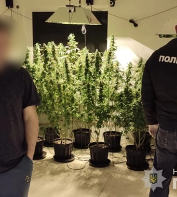 Во Львовской области осужденный организовал масштабные поставки каннабиса в тюрьму