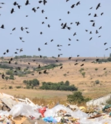 У Миколаєві перерозподілили кошти на користь комплексу з переробки відходів