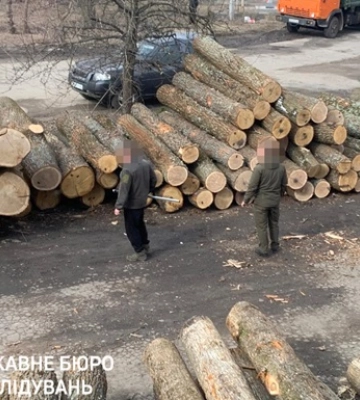 На Сумщині викрили масштабні оборудки з лісом