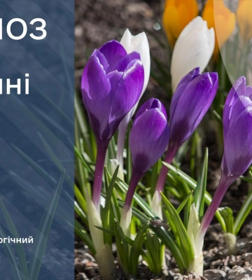Сьогодні в Україні ймовірні опади в низці областей