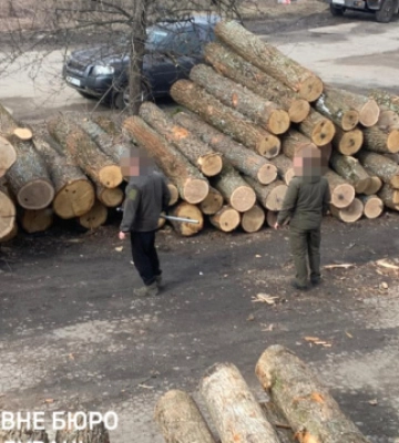 На Сумщині викрили масштабні оборудки з лісом