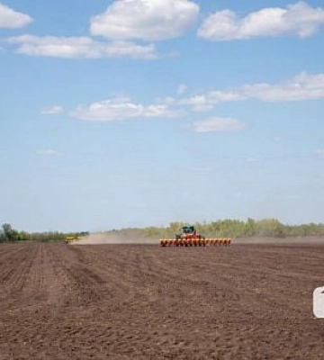 Дніпропетровські аграрії вже посіяли 9 гектарів ярих культур