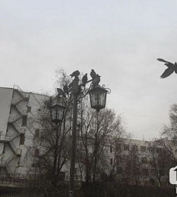16 марта в Кривом Роге будет облачная погода