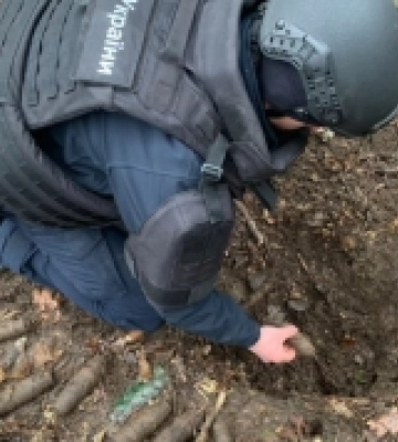 На Дубенщині знищили майже три десятки боєприпасів
