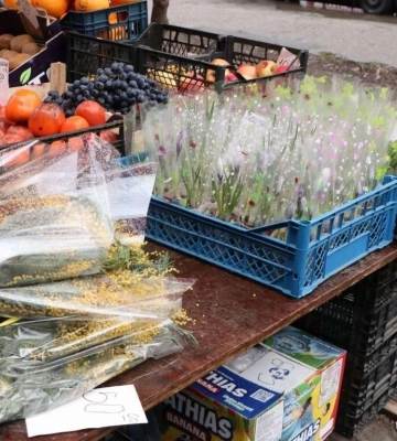 У Дніпрі нагадали про штрафи за продаж червонокнижного першоцвіту