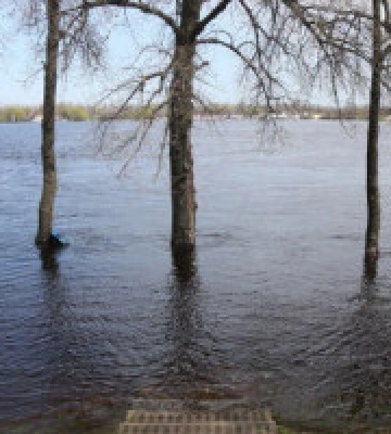 Рівень Дніпра в межах Києва за тиждень піднявся на 60 см, - КМВА