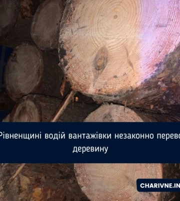 У селі на Рівненщині під час рейду виявили склад незаконної деревини