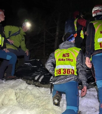 У Словаччині ведмідь напав на туристів з Білорусі