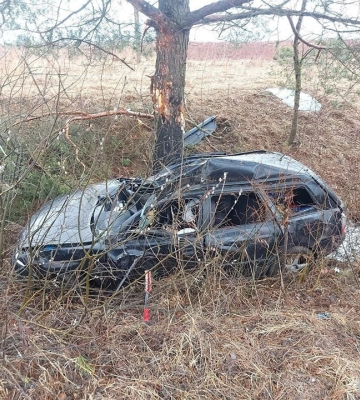 Водій загинув на місці: на півночі Рівненщини «Audi» врізалося у дерево