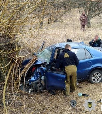 На Полтавщині машина вилетіла в кювет і врізалася в дерево: четверо людей постраждали