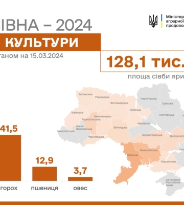 В Україні засіяно 128,1 тис га, з них – 69,6  тис га ячменю та  41,5 тис  га гороху