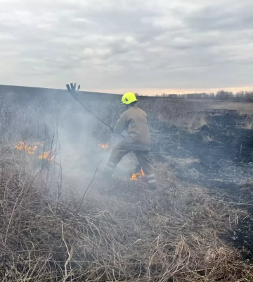 На Полтавщині горіло два гектара поля: рятувальники гасили суху траву